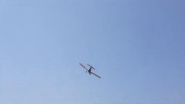 Turbine Thrush
