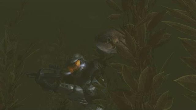 The funny side of Halo P2 смотреть онлайн