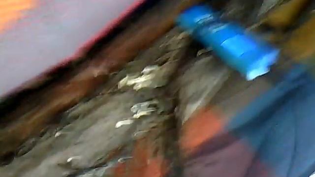 Поход в лес смотреть онлайн