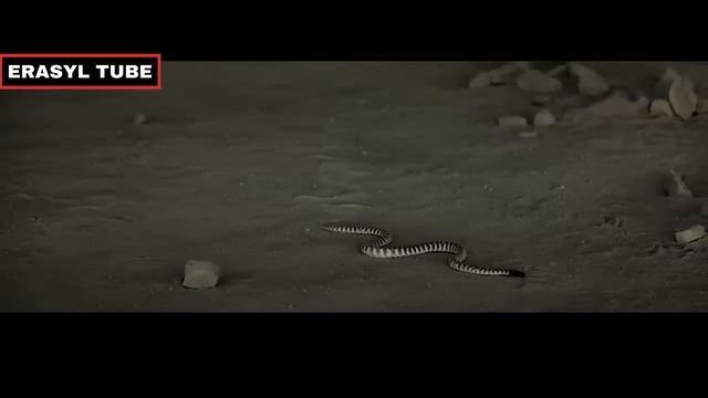 Айдаладан алтын тауып алсан не істейсің?  | АЛТЫН 2022 қазақша негізгі желісі....