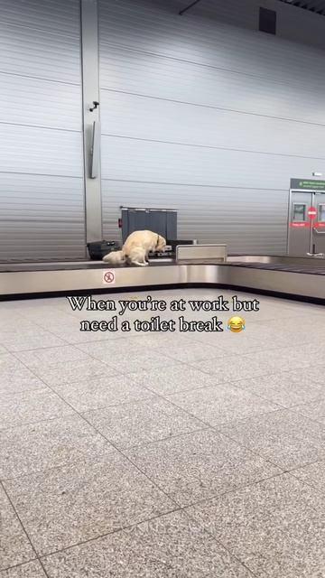 Big Fails 15🤣🤣 #shorts #funny #fails смотреть онлайн