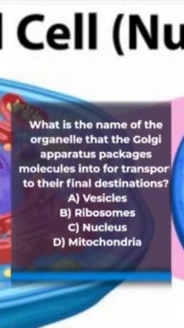 Golgi apparatus #neet2022 #mdcat #neetaspirant смотреть онлайн
