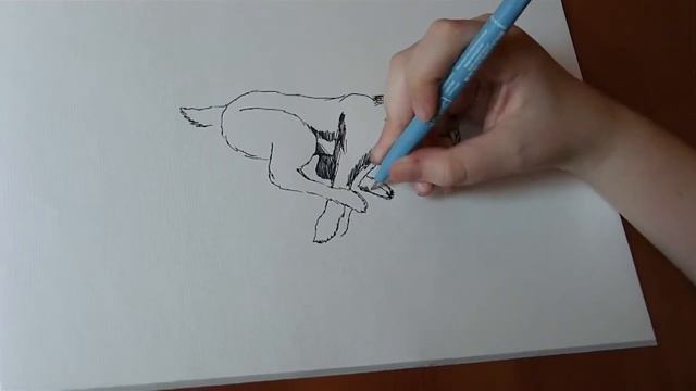 13 years Old Drawing Smilodon AMAZING!! (by Dusan Krtolica 2016) смотреть онлайн