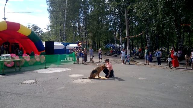 Человек собаке друг день парка 06 08 2016 смотреть онлайн