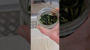 Ферментируем листья подорожника для чая, скручиваем.