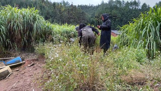 鱼塘拉第二网鱼两个师傅一人一筐，老板会不会亏油费呢？ смотреть онлайн