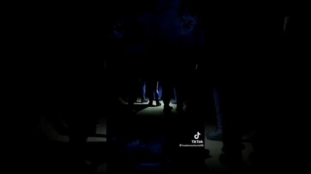 EL TURBIO INCEDENTE DEL PERRO Y EL GATO BAILANDO COMO HUMANO смотреть онлайн