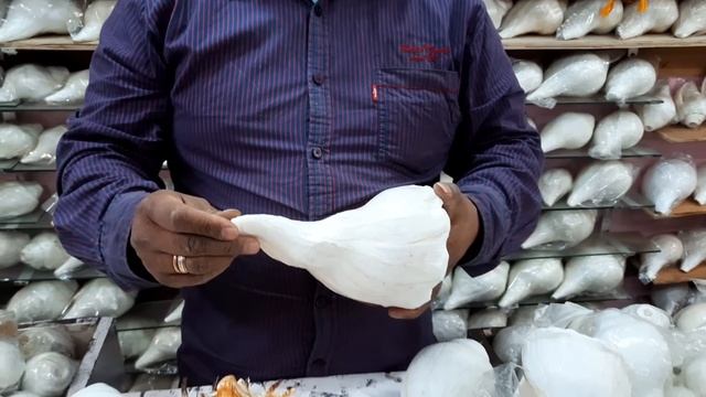 Shankh Shop In Haridwar हरिद्वार में शंख खरीदना हो तो यहाँ जाए || Shankh Shop In India || Haridwar смотреть онлайн