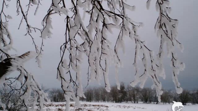 Kirlian Camera - Drifting смотреть онлайн