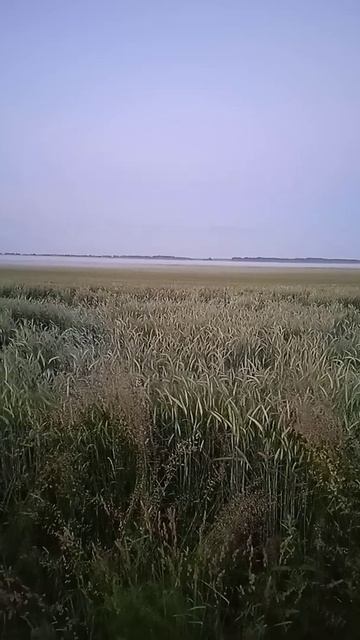 Доброе утро!-12 июня 2021 г. смотреть онлайн