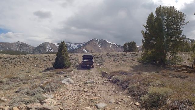 Coyote Flats смотреть онлайн