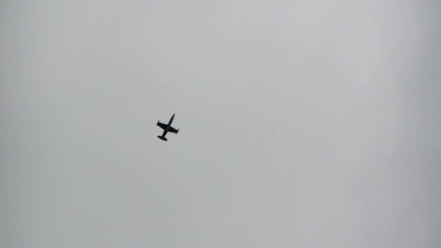 RC Turbine Model Jet L-39 Albatros / Dirk Juras / Flight Show Bölsdorf 2015 *1080p50fpsHD* смотреть онлайн