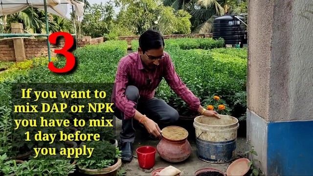 5 Things you must Know before Applying Liquid Mustard Cake fertilizer смотреть онлайн