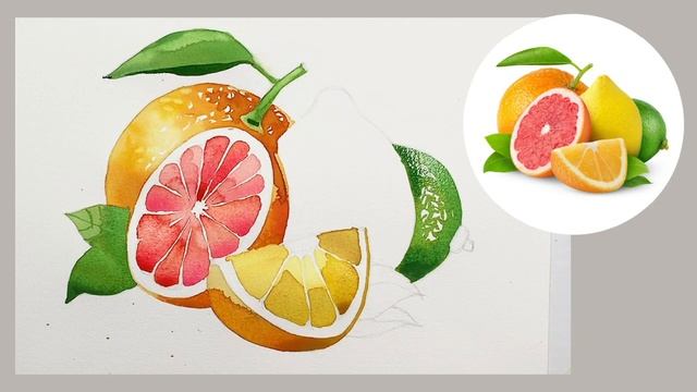 Citrus fruits watercolor painting demonstration смотреть онлайн