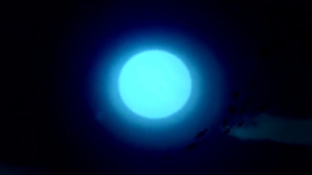 Kion x Fuli [VOODOO] смотреть онлайн