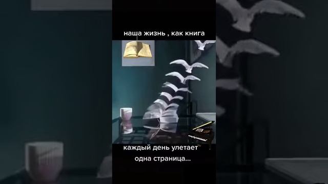 Наша жизнь как книга смотреть онлайн