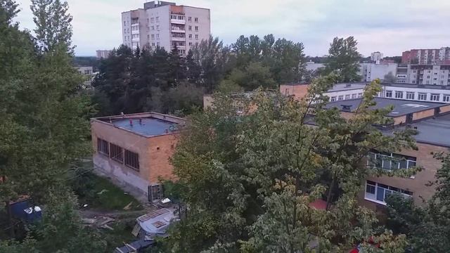 Хочу, чтобы росли сосны смотреть онлайн