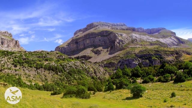 Meditation Music for Concentration & Focus, Deep Healing Energy, Relax Mind Body, Music for Zen,Yog смотреть онлайн