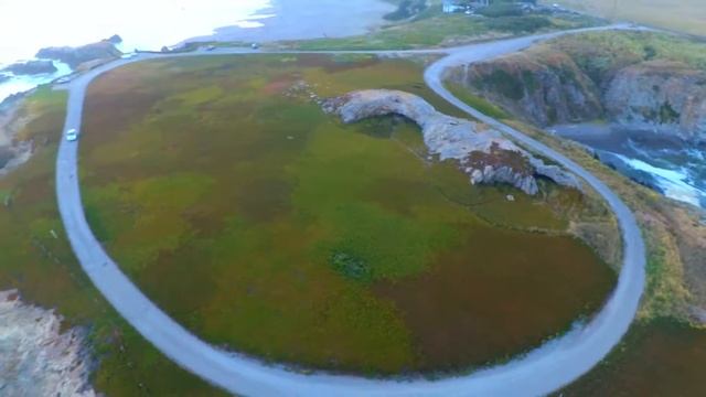 Sonoma Coast смотреть онлайн