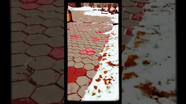 История собаки и котенок смотреть онлайн