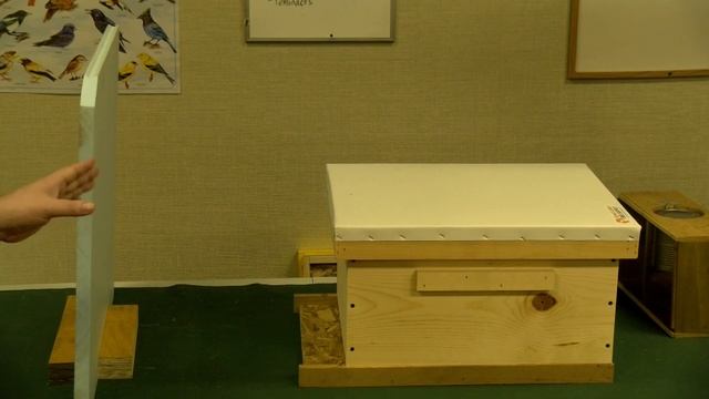 Are You Killing Your Bees?