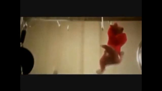 Alvin and the chipmunks Cheezeballz song & Right round Florida смотреть онлайн