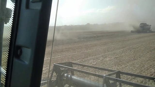 Полеглая пшеница. Ставрополье смотреть онлайн