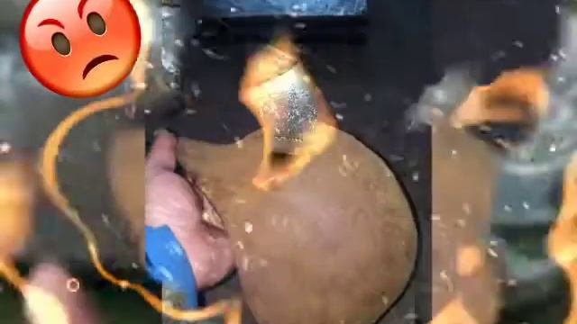 В поисках клада Молдова смотреть онлайн
