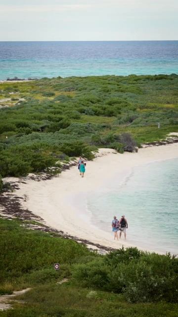 Explore Biscayne, Everglades, & Dry Tortugas National Parks with OBP смотреть онлайн