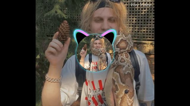 PLOHOY PAREN - Snippet Рябина в саду ремикс 2024.