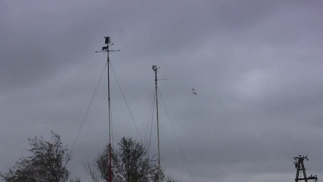 Метеостанция Жуковка Керчь.Керченская переправа. смотреть онлайн