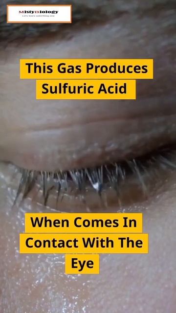 Why Onion Makes You Cry | Science Facts | смотреть онлайн