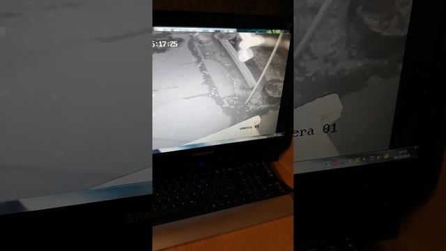 Гнида воровская, ворует колёса из подвала шакал паскудный. смотреть онлайн