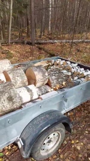 Заготовка берёзовых дров на Ниве Легенд! #рекомендации #нивалегенд #нива