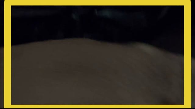 США. РЫБКА ВКУСНЯТИНА. FISH VERY GOOD. смотреть онлайн