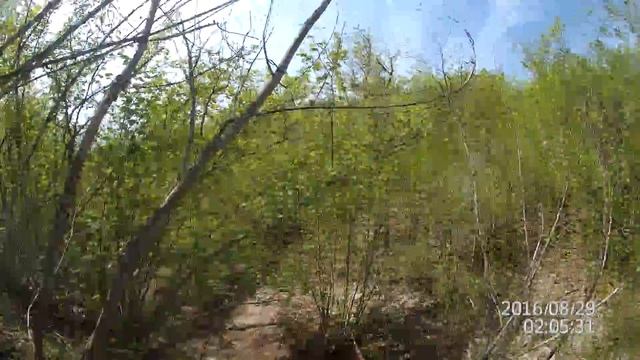 Отправить(3) смотреть онлайн