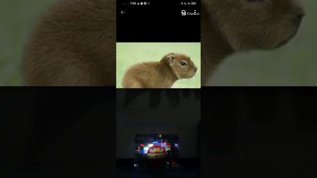 Reacting to Capybara shorts! (8 years old's first video) смотреть онлайн