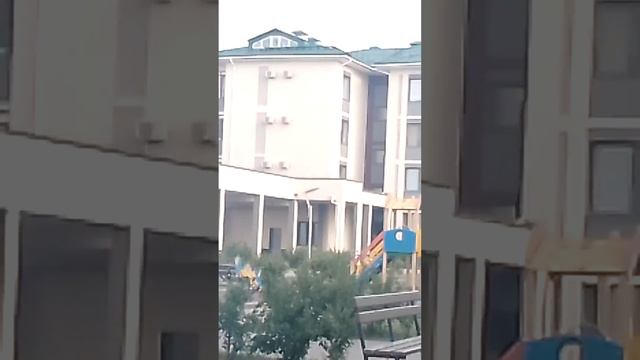 ролик с Львом смотреть онлайн