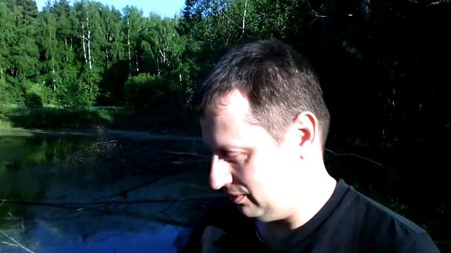 Мальчик, воспитанный Бобрами смотреть онлайн