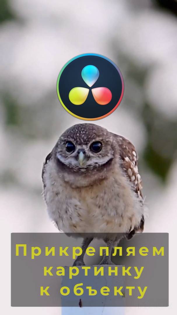 Как прикрепить картинку к объекту в DaVinci Resolve! Быстрый трекинг в DaVinci. #davinciresolve смотреть онлайн