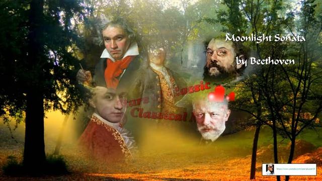2018 07 25 Moonlight Sonata by Beethoven смотреть онлайн