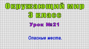Окружающий мир 3 класс (Урок№21 - Опасные места.)