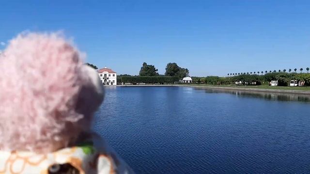 Говорю по утиному в Петергофе. Марлинский пруд. смотреть онлайн