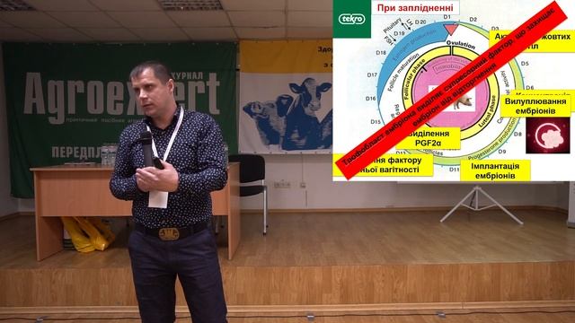 ЗАПОБІГАННЯ ПРОБЛЕМАМ ВАГІТНОСТІ ВИСОКОПРОДУКТИВНИХ СВИНОМАТОК|ОПТИМАЛЬНИЙ РАЦІОН ДЛЯ СВИНОМАТОК смотреть онлайн