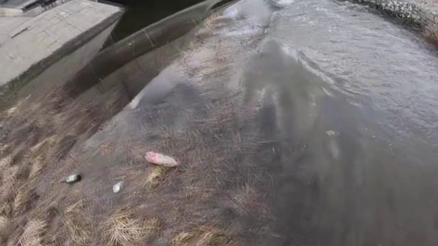 неудачи и не только смотреть онлайн