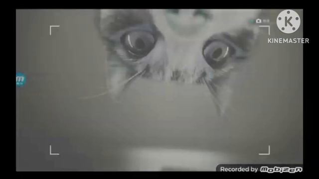 Kitekat Реклама 2016 Effects смотреть онлайн