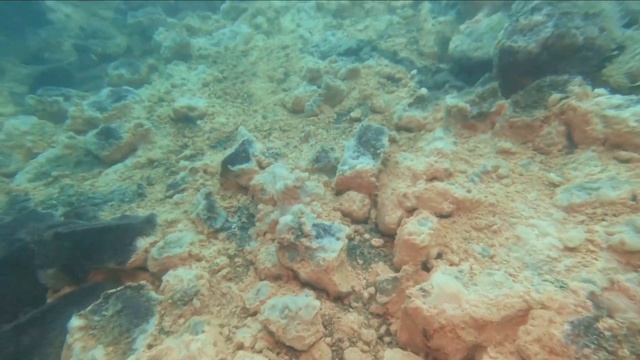 Diving in El Salvador in an active volcano смотреть онлайн