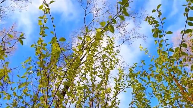 Весна смотреть онлайн