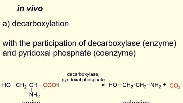 LECTURE 4. Amino acids. Proteins смотреть онлайн