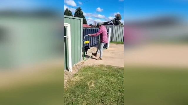 ПОДБОРКА ФЕЙЛОВ, ПРИКОЛОВ / ПОПРОБУЙ НЕ ЗАСМЕЯТЬСЯ / СМЕШНЫЕ ВИДЕО / ЖИВОТНЫЕ №24 смотреть онлайн
